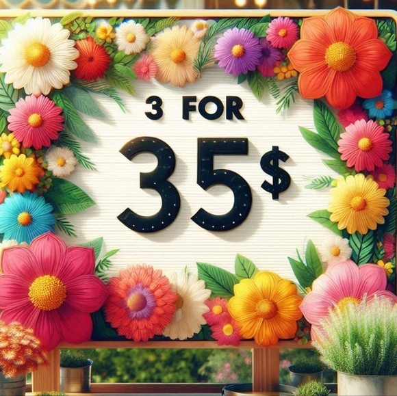 2 FOR $30 Or 3 For $35 Sunflower Sunset Earrings (#063) - Picture 5 of 5